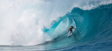 HAYDENSHAPES - Hypto Krypto