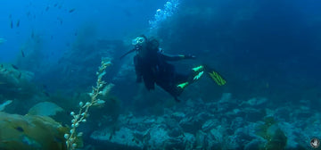 Body Glove Wetsuit Size Chart