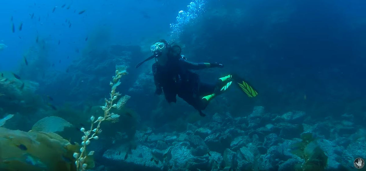 Body Glove Wetsuit Size Chart