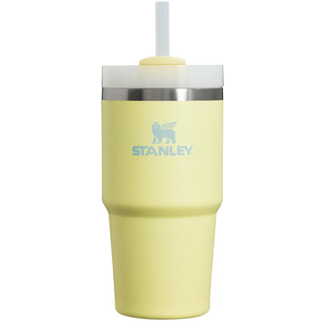 Stanley Quencher H2.0 FlowState Tumbler with Handle 20 oz