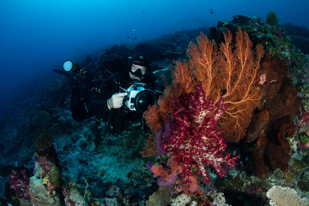 KOMODO INDONESIA TRIP *DEPOSIT ONLY*