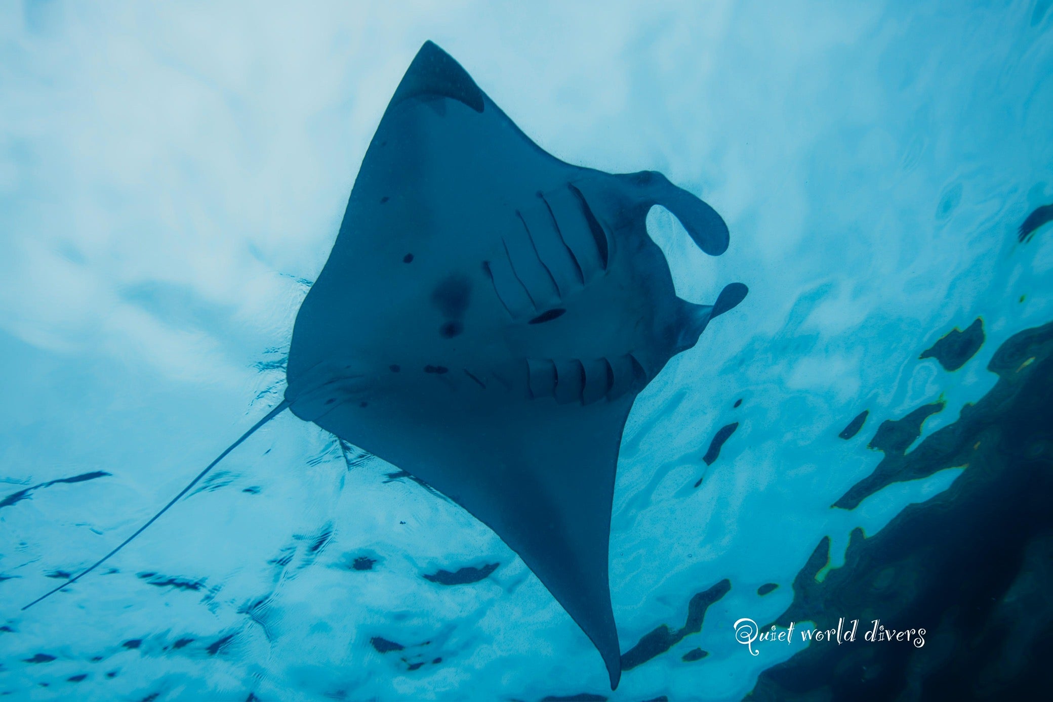 KOMODO INDONESIA TRIP *DEPOSIT ONLY*