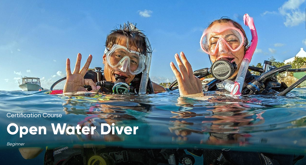 Scuba Classes - Dive N' Surf