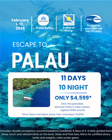 Palau Dive Trip *DEPOSIT ONLY*