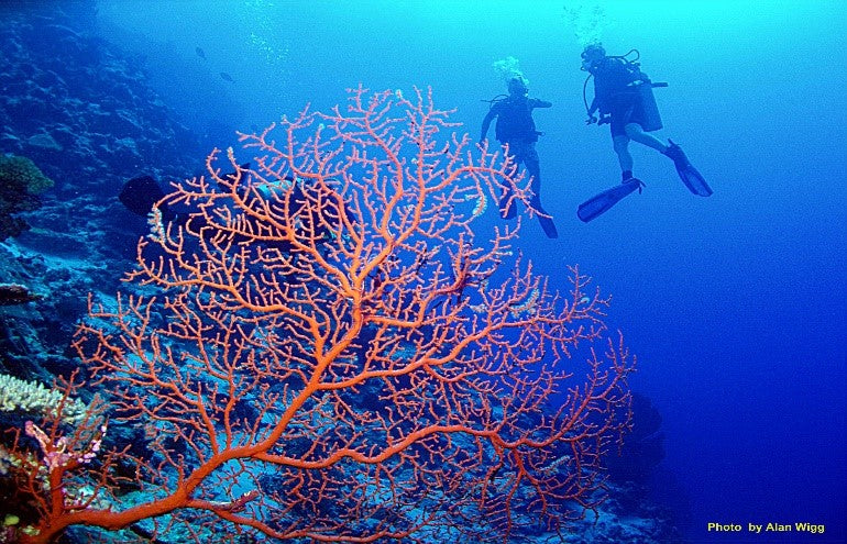 BEQA LAGOON RESORT FIJI TRIP