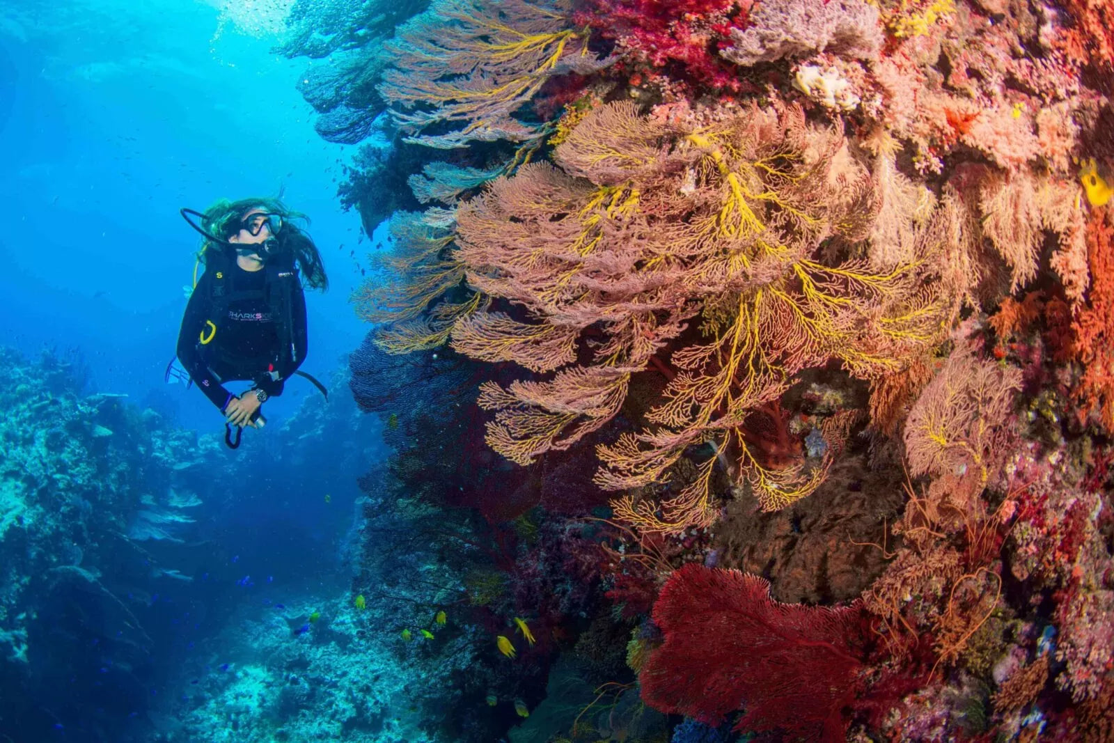 BEQA LAGOON RESORT FIJI TRIP