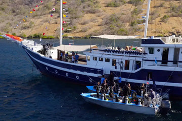 KOMODO INDONESIA TRIP *DEPOSIT ONLY*