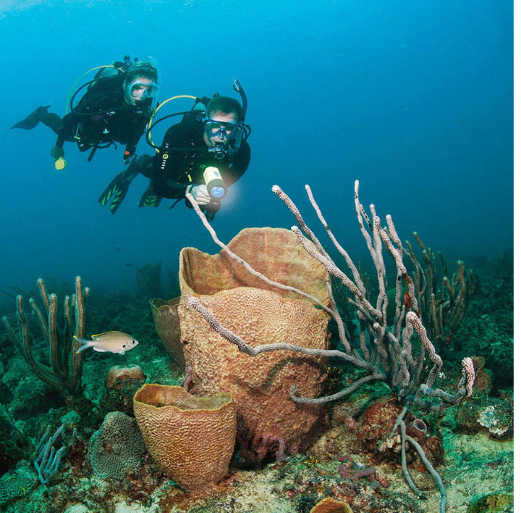 Discover SCUBA Diving - Dive N' Surf